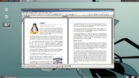 word-linux2.png